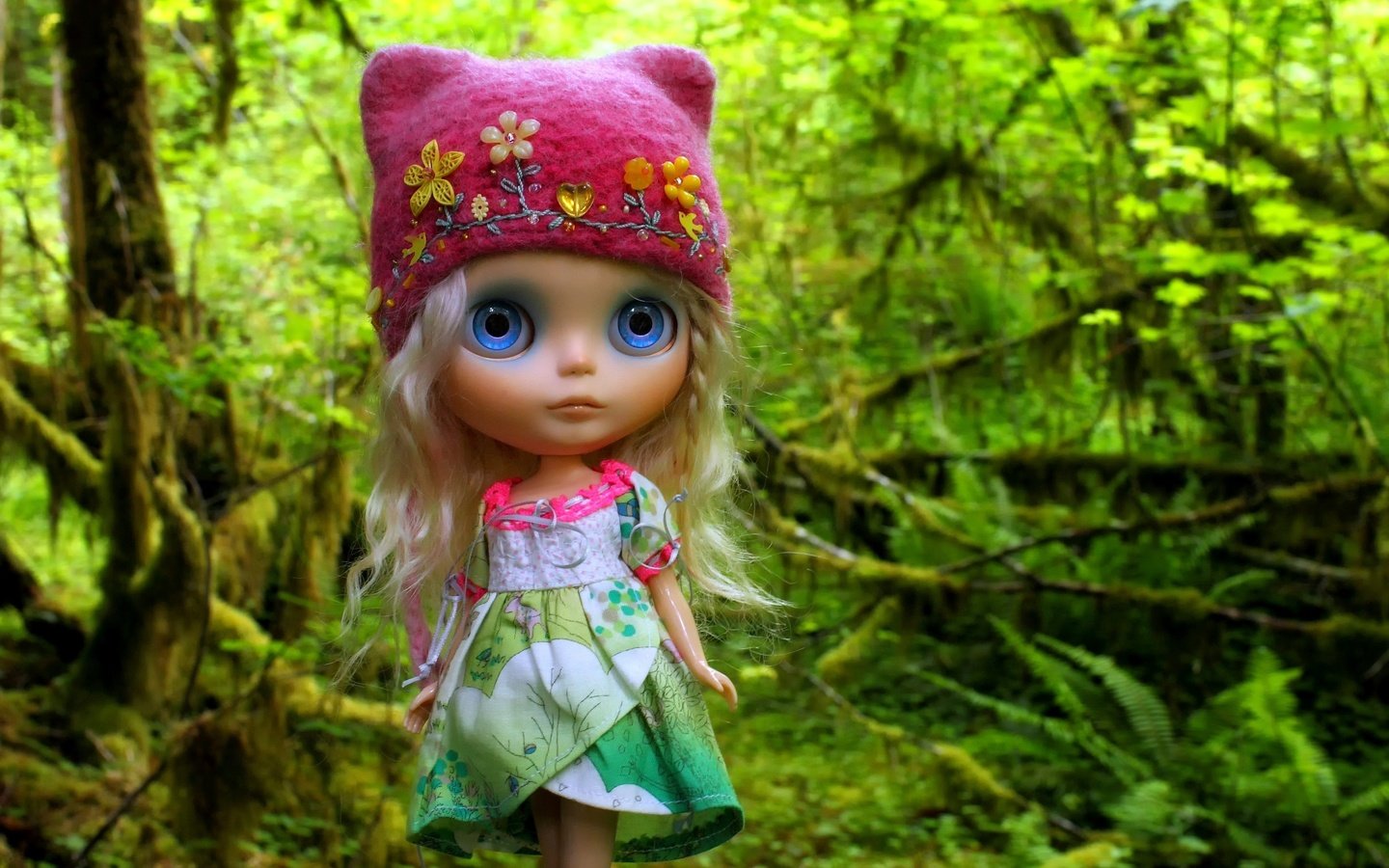 Обои лес, игрушка, кукла, волосы, шапка, шапочка, forest, toy, doll, hair, hat, cap разрешение 3500x2309 Загрузить