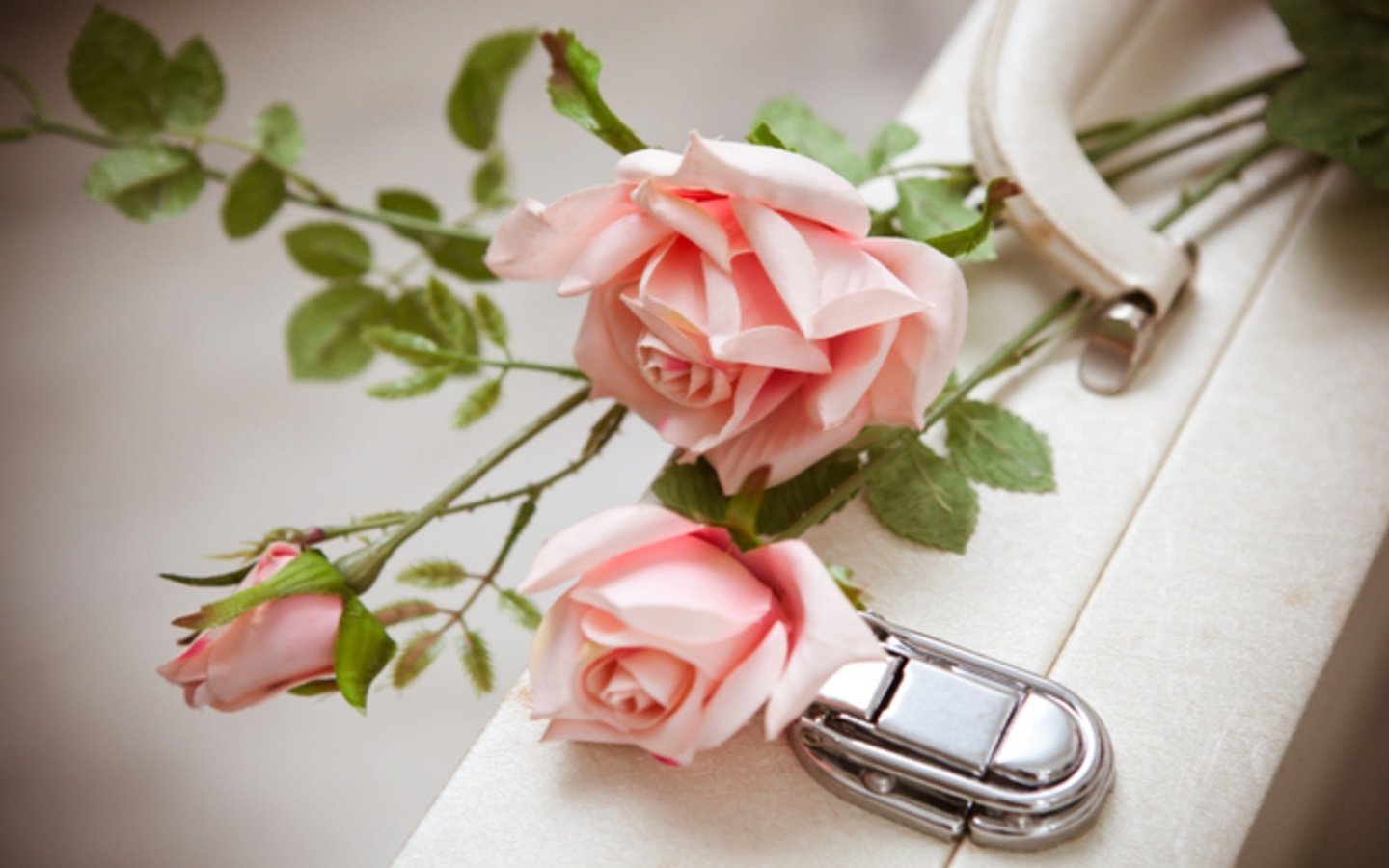 Обои цветы, розы, белый, любовь, букет, розовые, чемодан, flowers, roses, white, love, bouquet, pink, suitcase разрешение 2560x1600 Загрузить