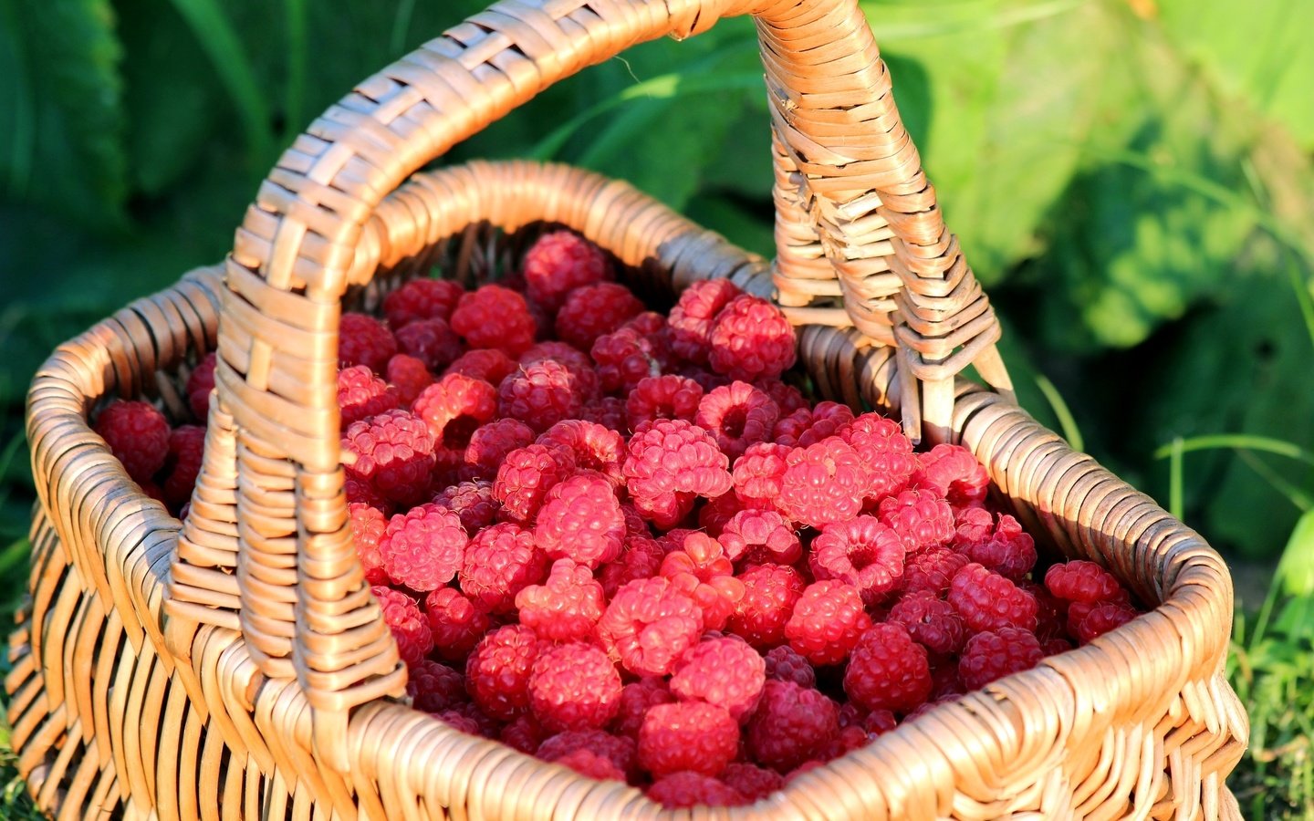 Обои малина, корзина, ягоды, raspberry, basket, berries разрешение 2000x1333 Загрузить