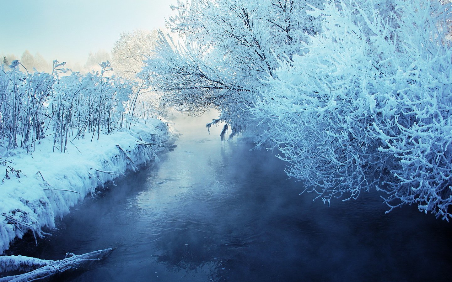 Обои снег, зима, snow, winter разрешение 1920x1200 Загрузить