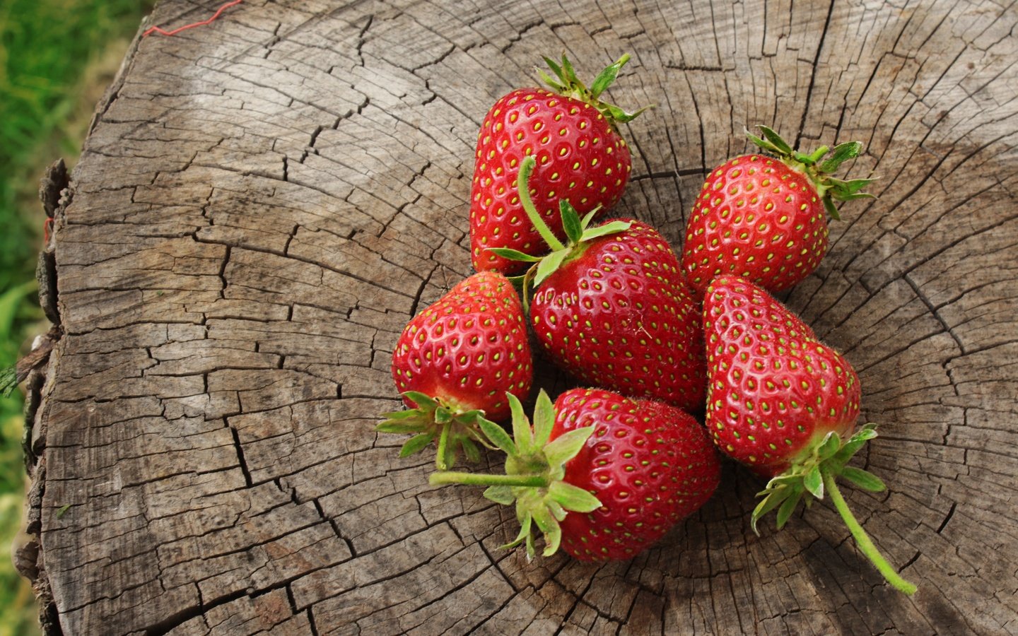 Обои природа, красная, клубника, ягоды, пень, nature, red, strawberry, berries, stump разрешение 2880x1920 Загрузить