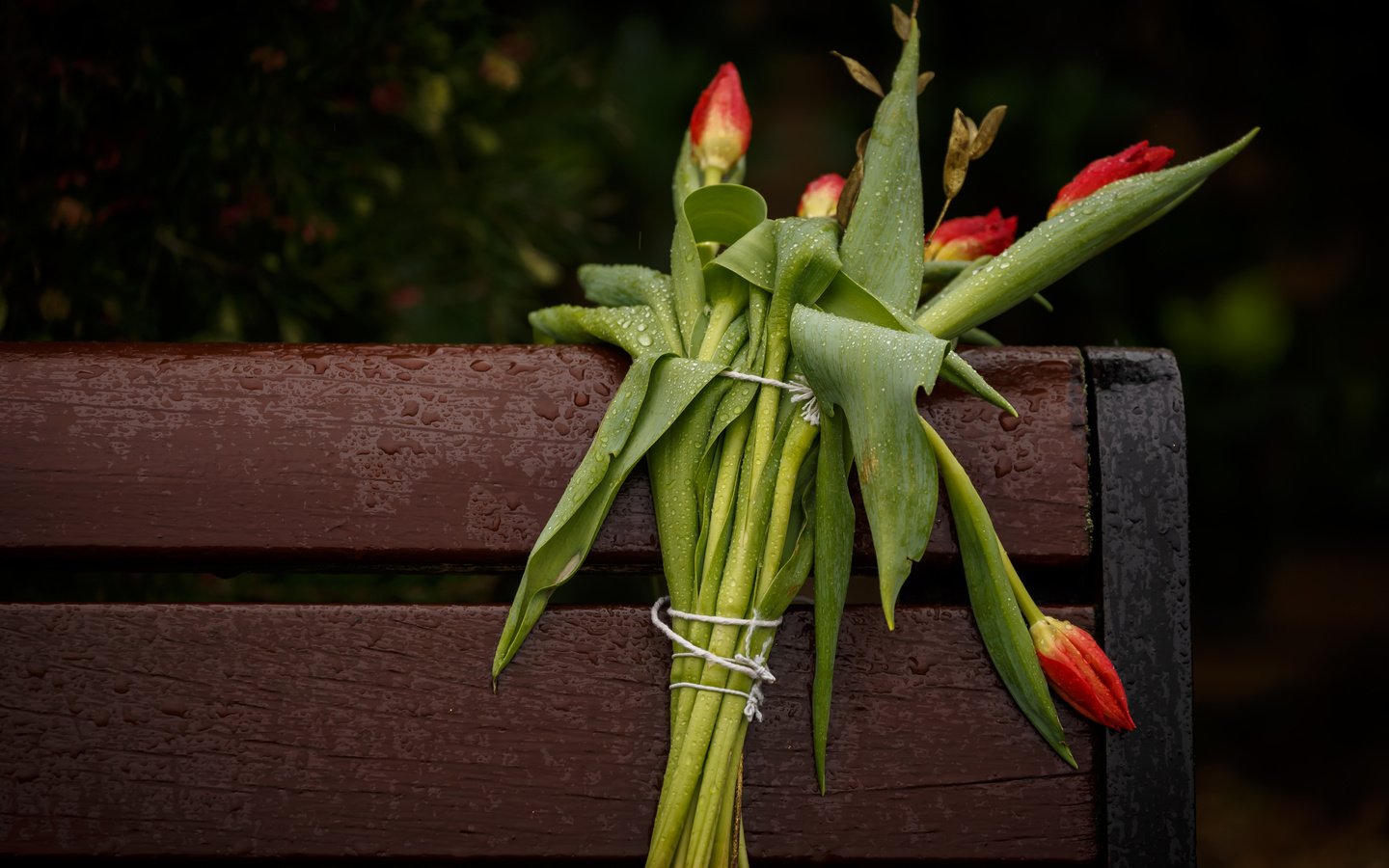Обои цветы, фон, лепестки, скамейка, букет, тюльпаны, стебли, flowers, background, petals, bench, bouquet, tulips, stems разрешение 5516x3677 Загрузить