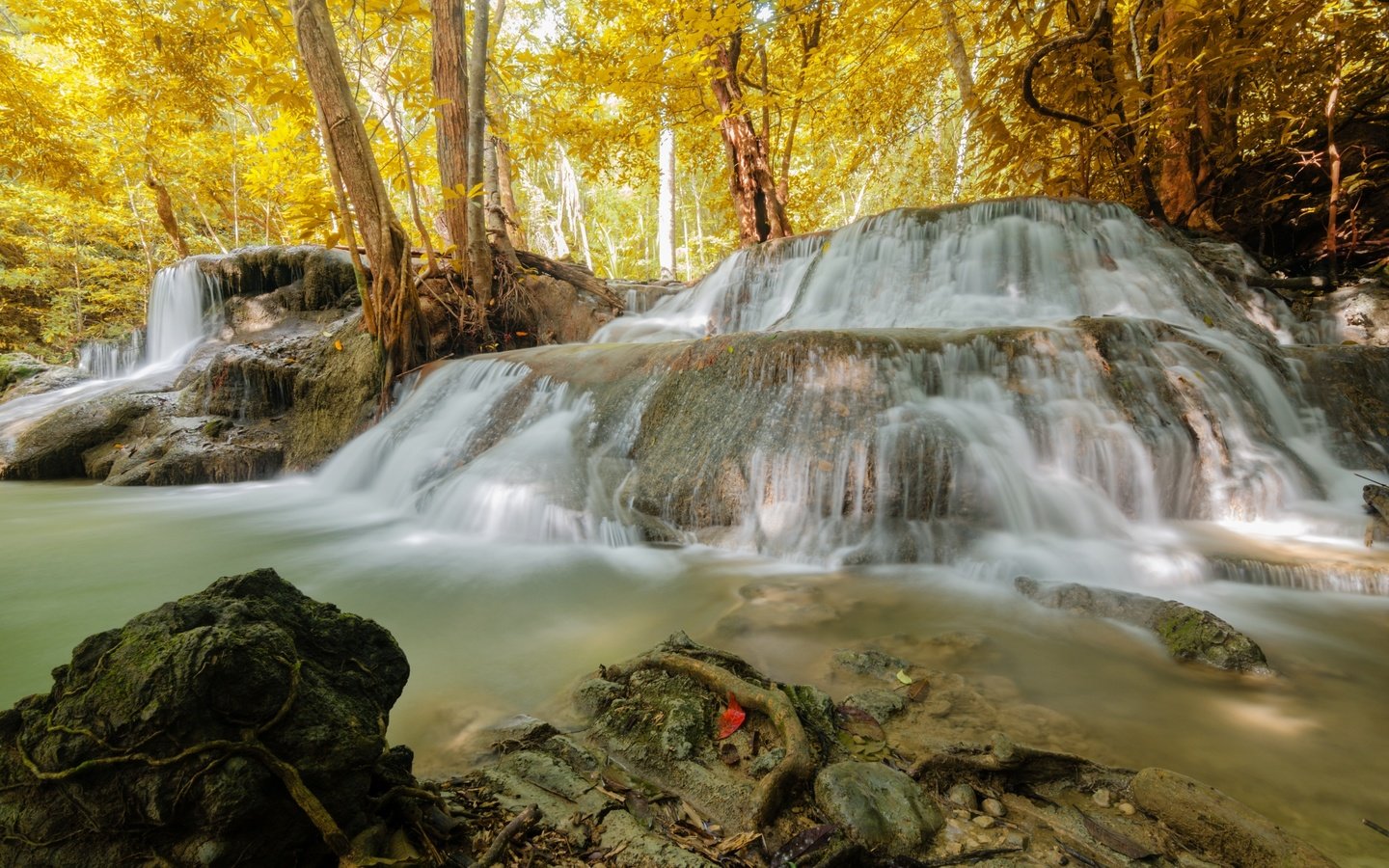 Обои деревья, природа, лес, водопад, осень, huaymaekamin, trees, nature, forest, waterfall, autumn разрешение 3100x2053 Загрузить