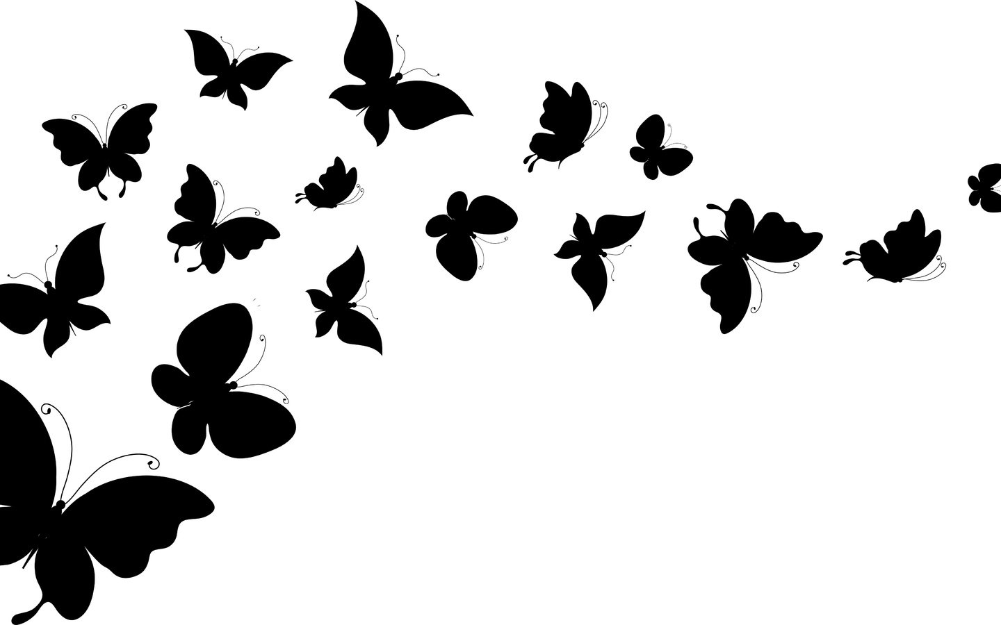 Обои фон, крылья, белый, силуэты, бабочки, background, wings, white, silhouettes, butterfly разрешение 5420x3097 Загрузить