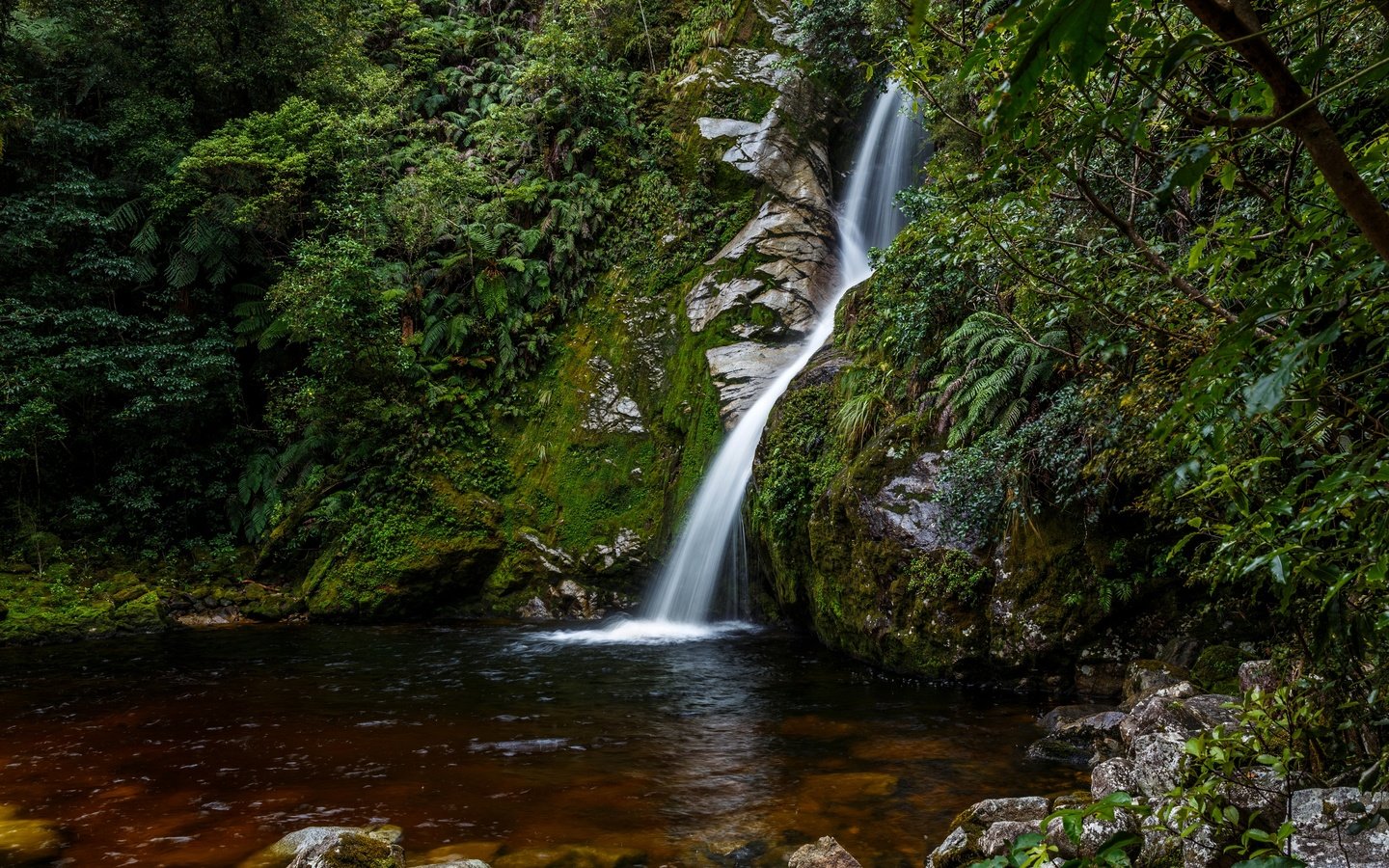 Обои камни, лес, ручей, кусты, водопад, мох, новая зеландия, hokitika, stones, forest, stream, the bushes, waterfall, moss, new zealand разрешение 2880x2046 Загрузить