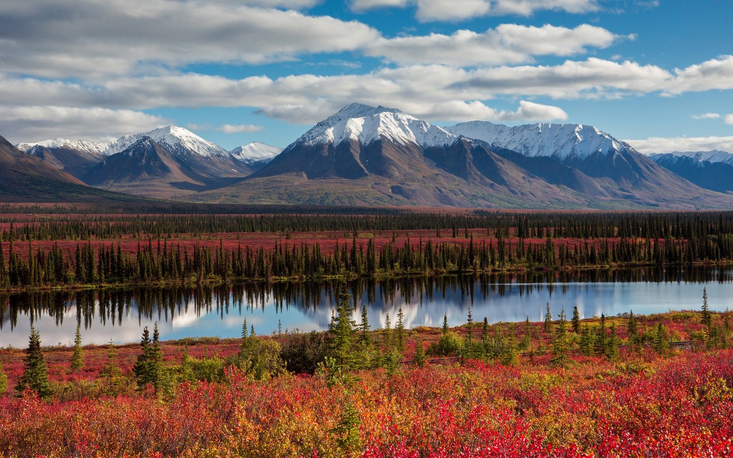 Обои небо, облака, деревья, горы, лес, осень, сша, аляска, the sky, clouds, trees, mountains, forest, autumn, usa, alaska разрешение 2048x1365 Загрузить