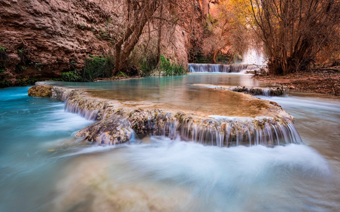 Обои деревья, grand canyon, каскад, река, штат аризона, скалы, havasupai, природа, michael wilson, ручей, водопад, каньон, сша, trees, cascade, river, arizona, rocks, nature, stream, waterfall, canyon, usa разрешение 2880x1923 Загрузить