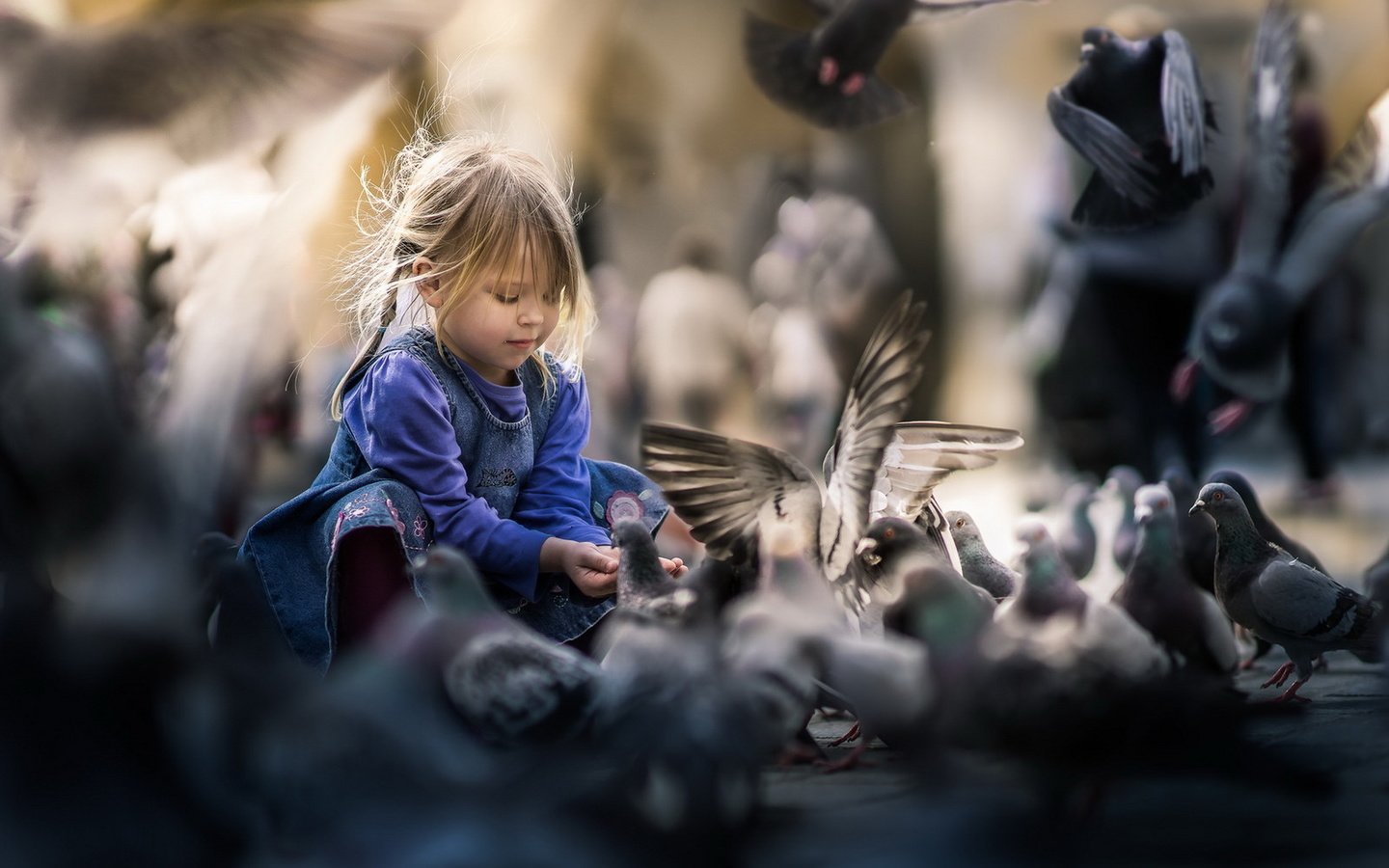 Обои девочка, улица, птицы, girl, street, birds разрешение 1920x1279 Загрузить