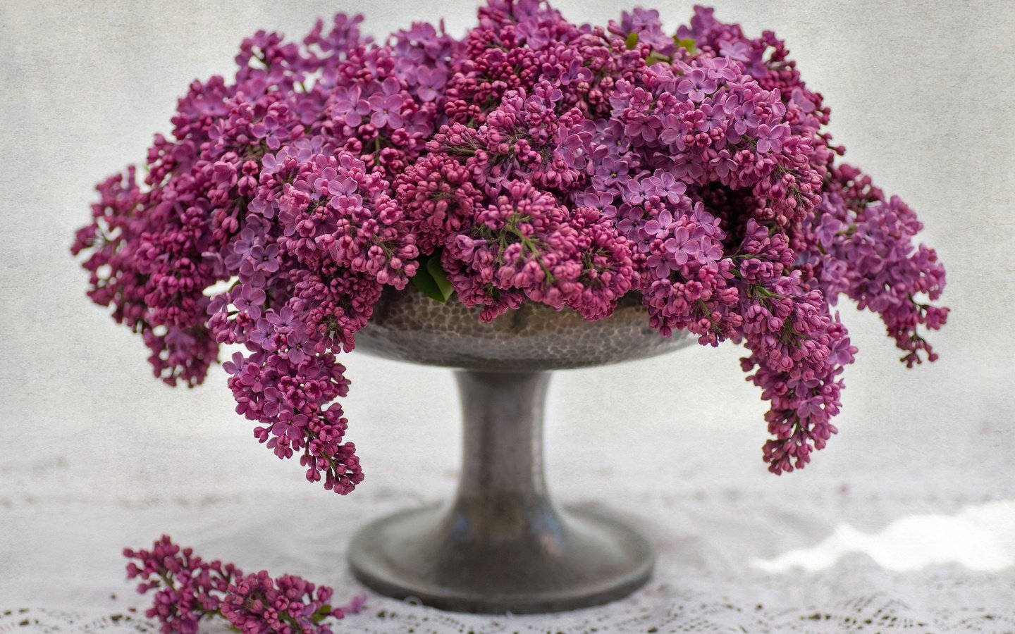 Обои букет, ваза, гроздья, сирень, bouquet, vase, bunches, lilac разрешение 2048x1638 Загрузить