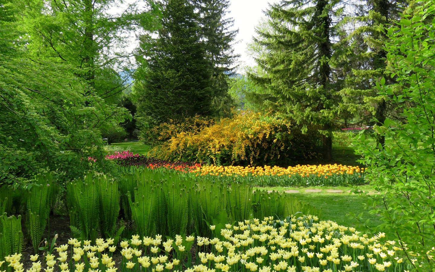 Обои цветы, трава, деревья, зелень, парк, словения, mozirski gaj, flowers, grass, trees, greens, park, slovenia разрешение 3000x2250 Загрузить