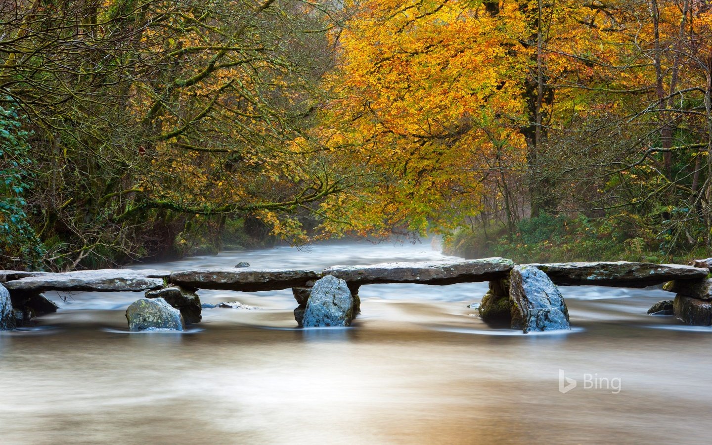 Обои река, природа, мостик, лес, осень, bing, river, nature, the bridge, forest, autumn разрешение 1920x1200 Загрузить