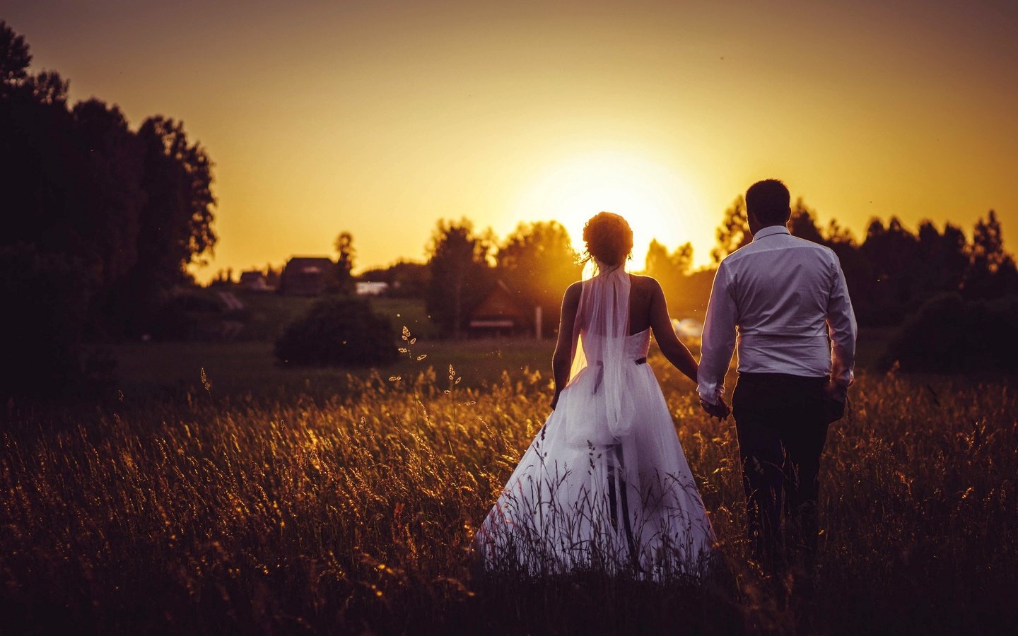 Обои закат, поле, жених, свадьба, невеста, sunset, field, the groom, wedding, the bride разрешение 2880x1920 Загрузить