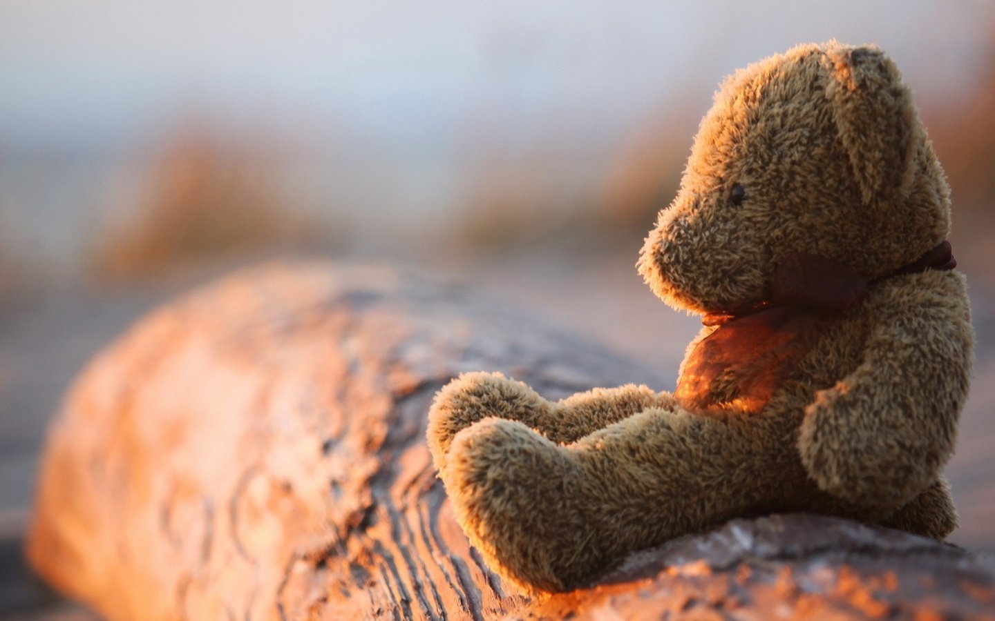 Обои медведь, мишка, игрушка, плюшевый, боке, bear, toy, plush, bokeh разрешение 1920x1080 Загрузить