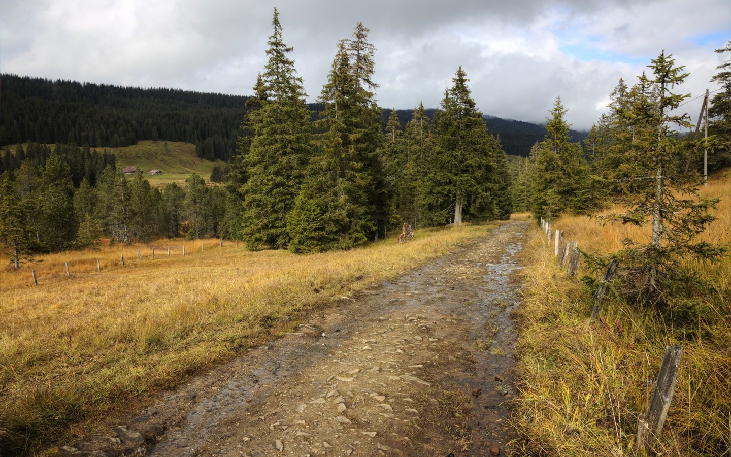 Обои небо, дорога, деревья, осень, забор, the sky, road, trees, autumn, the fence разрешение 5796x3870 Загрузить