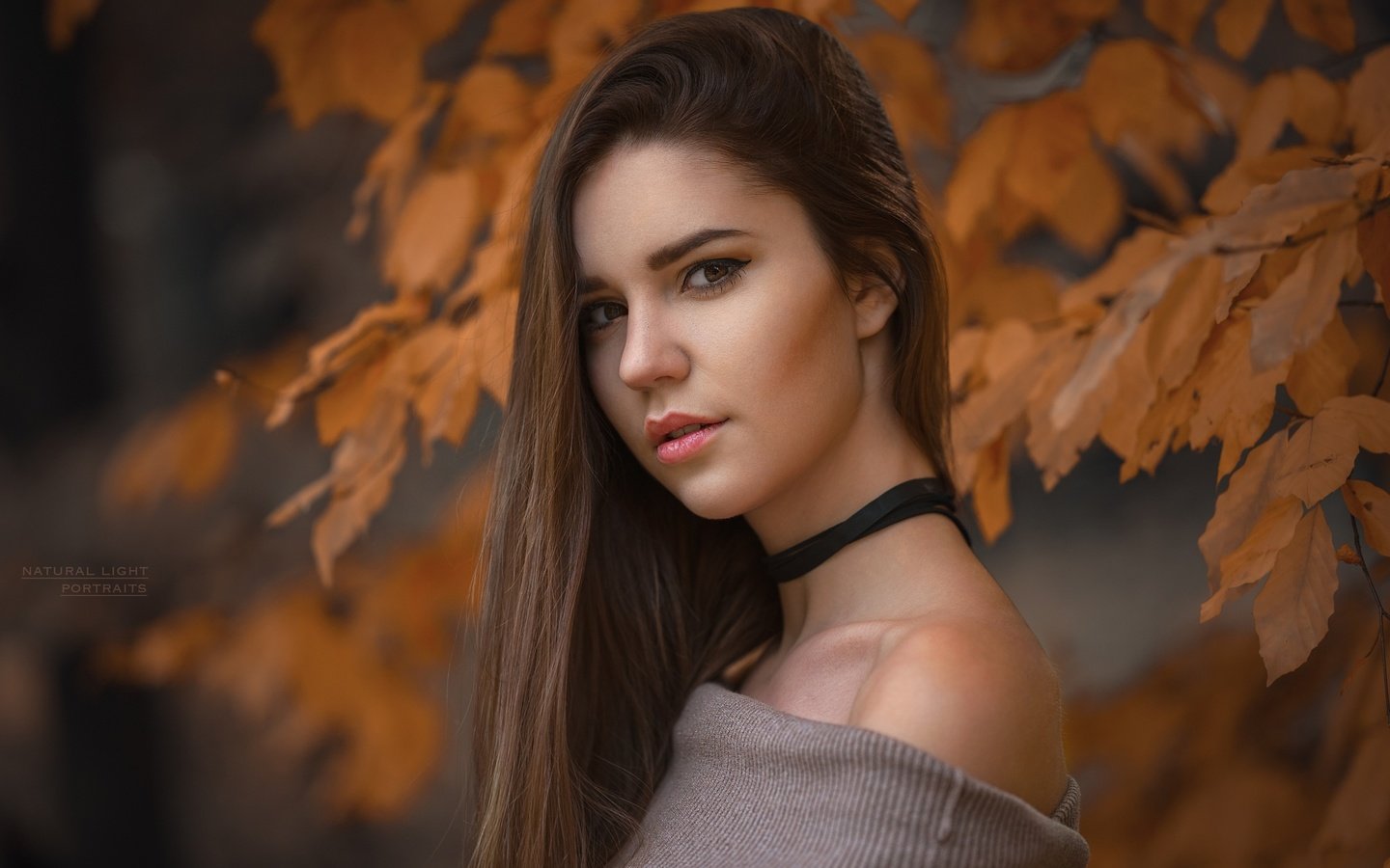 Обои глаза, девушка, портрет, листва, взгляд, осень, eyes, girl, portrait, foliage, look, autumn разрешение 2048x1365 Загрузить