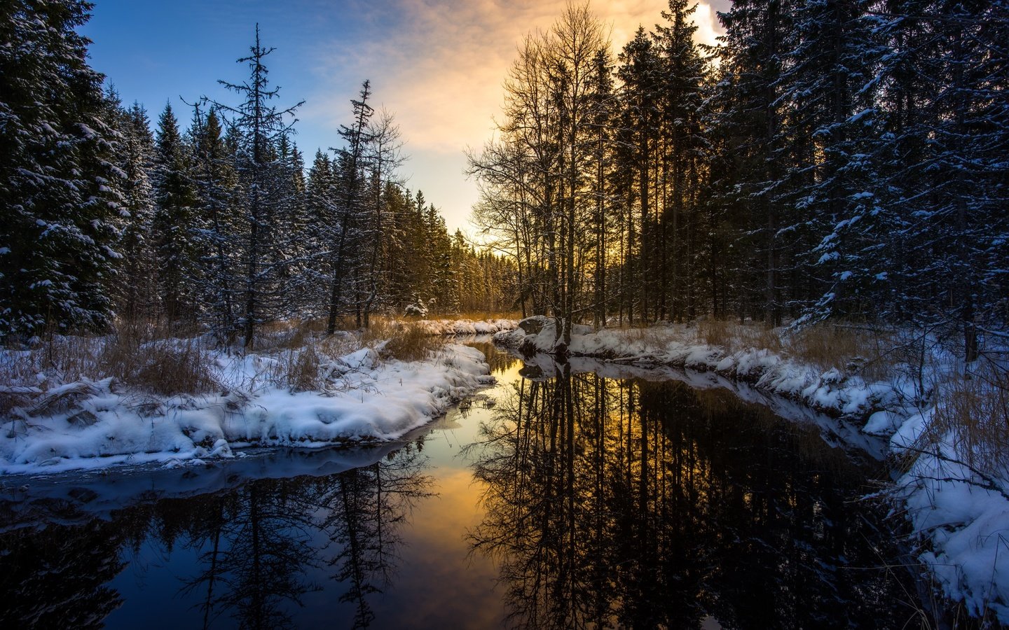 Обои река, лес, зима, утро, river, forest, winter, morning разрешение 5472x3648 Загрузить