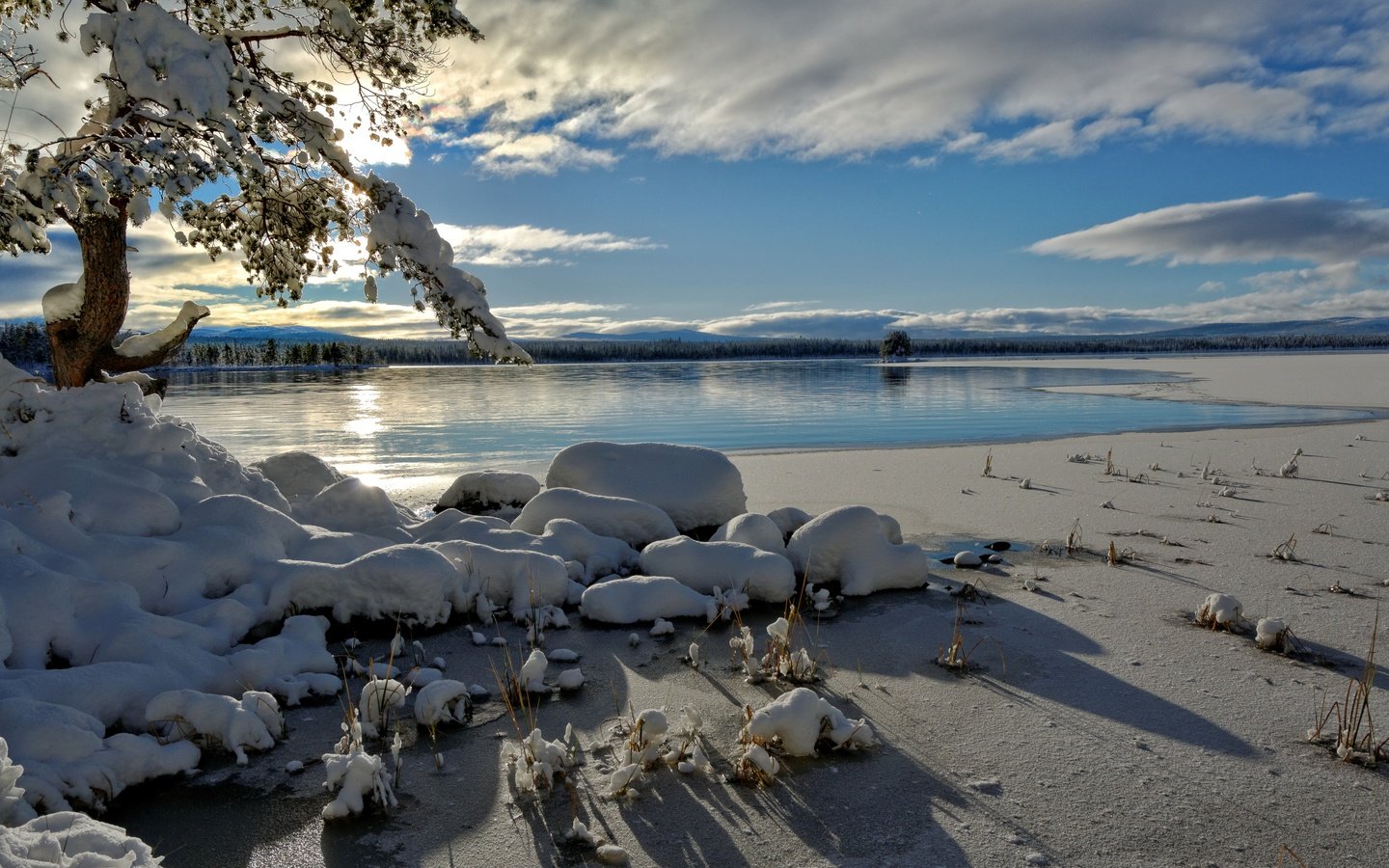 Обои зима, норвегия, hedmark fylke, tjernli, winter, norway разрешение 4000x2667 Загрузить