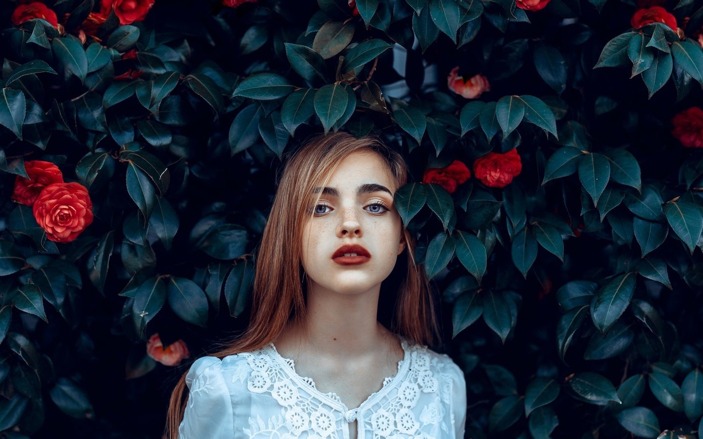 Обои цветы, девушка, портрет, розы, лицо, веснушки, flowers, girl, portrait, roses, face, freckles разрешение 2048x1529 Загрузить