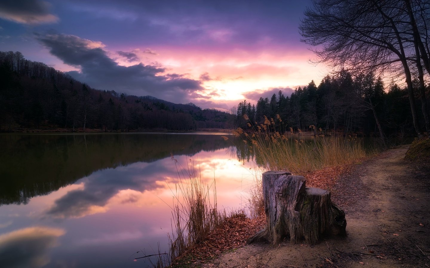 Обои деревья, озеро, закат, пень, trees, lake, sunset, stump разрешение 2000x1235 Загрузить