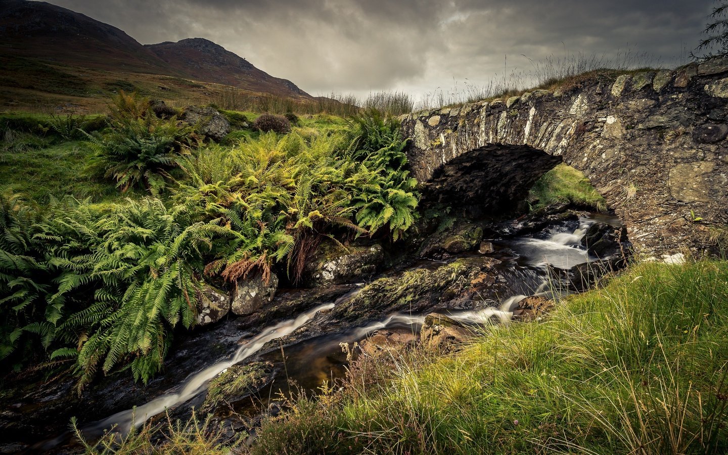 Обои трава, горы, камни, ручей, мост, папоротник, каменный мост, grass, mountains, stones, stream, bridge, fern, stone bridge разрешение 2048x1248 Загрузить