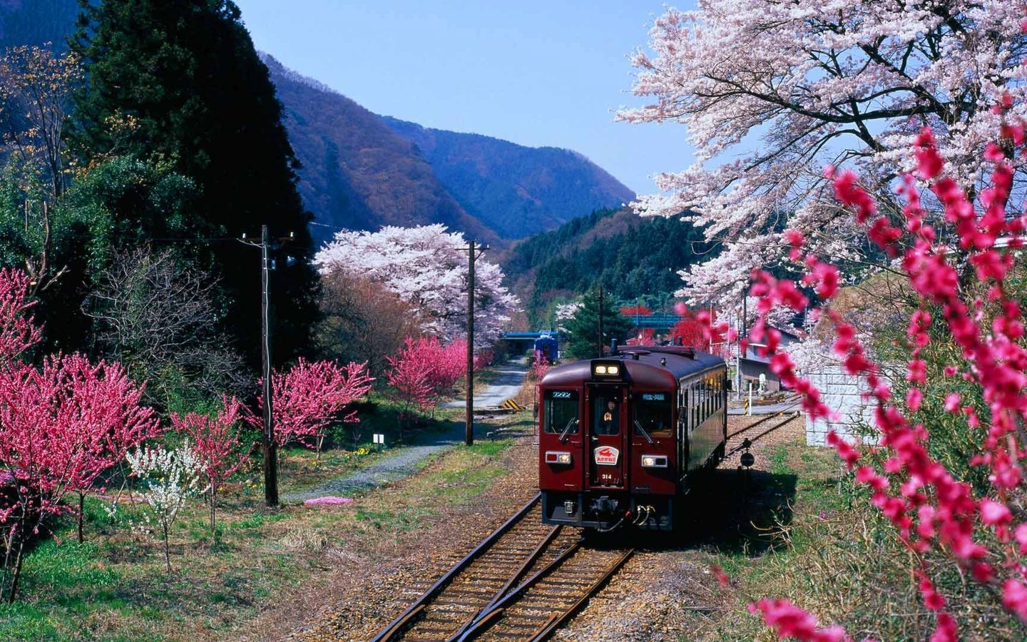 Обои горы, цветение, япония, весна, поезд, префектура гумма, mountains, flowering, japan, spring, train, gunma prefecture разрешение 1920x1080 Загрузить