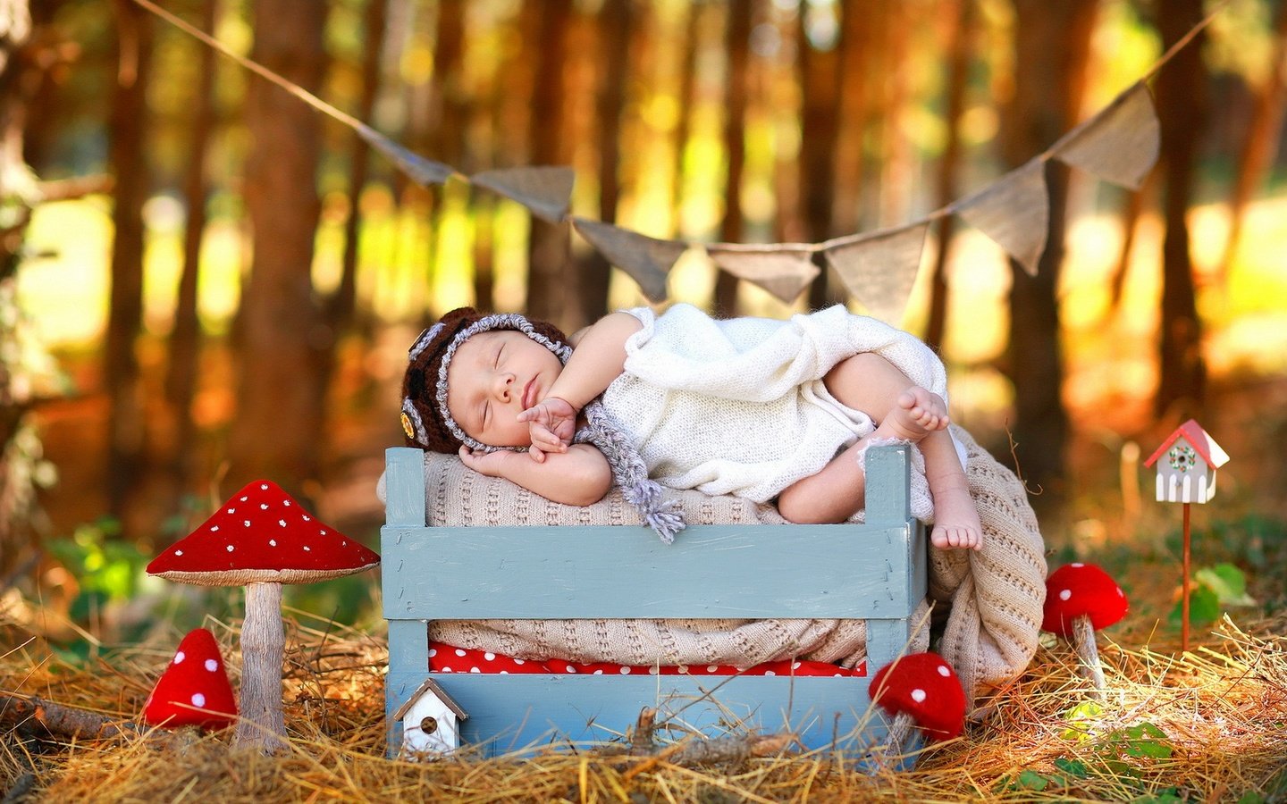 Обои природа, осень, сон, дети, ребенок, младенец, мухомор, ящик, nature, autumn, sleep, children, child, baby, mushroom, box разрешение 1920x1200 Загрузить