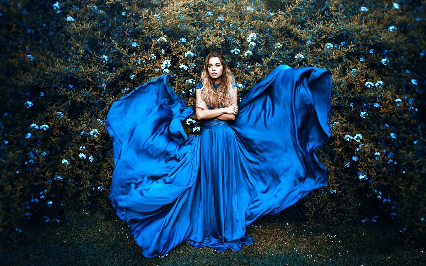 Обои цветы, девушка, платье, взгляд, волосы, ronny garcia, bluish, flowers, girl, dress, look, hair разрешение 2000x1333 Загрузить