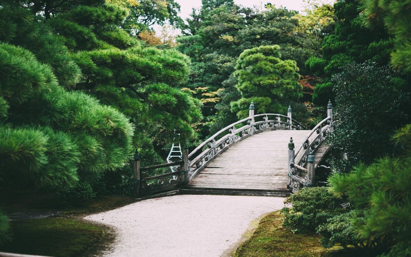 Обои деревья, природа, парк, мост, сад, trees, nature, park, bridge, garden разрешение 2048x1152 Загрузить