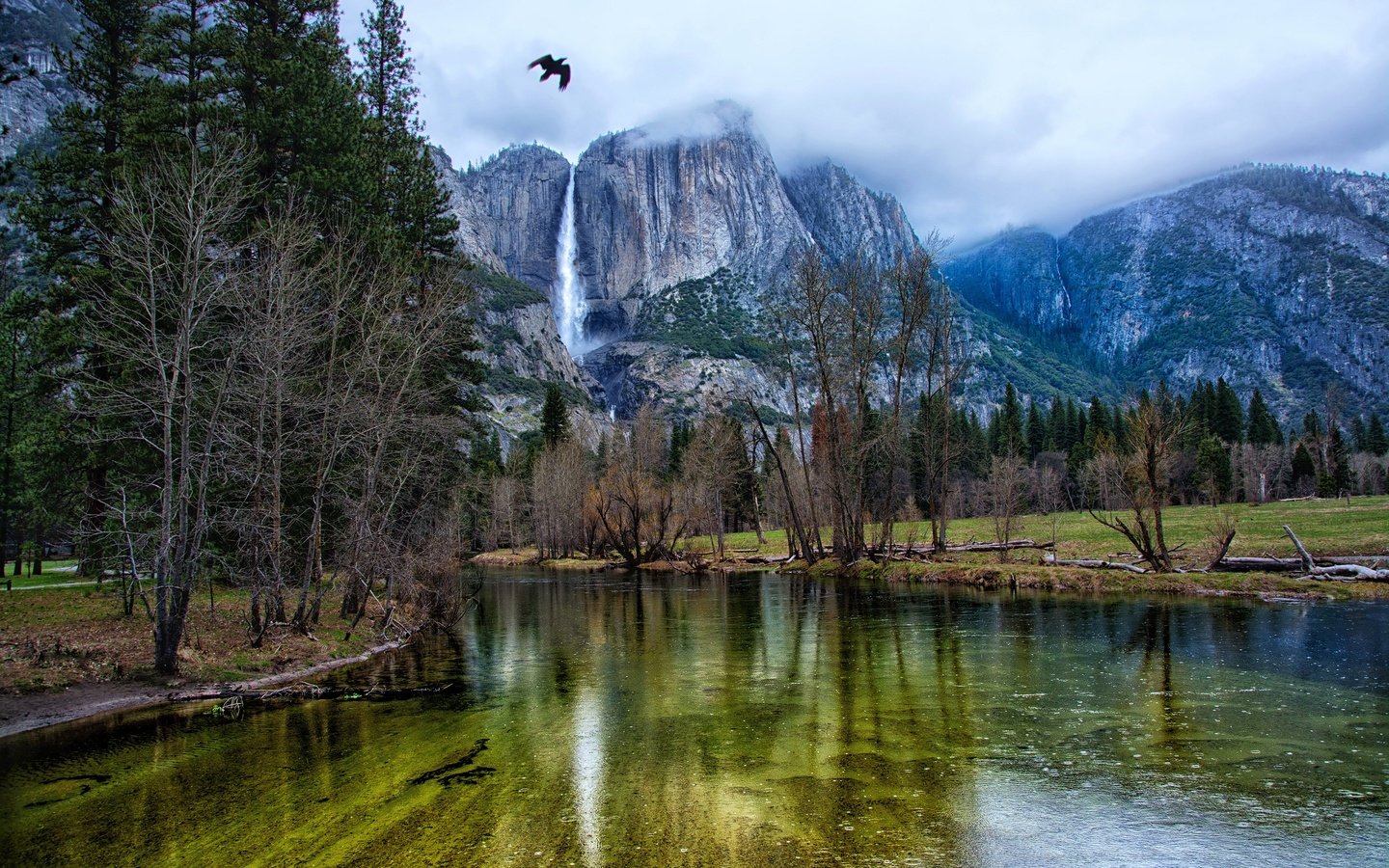 Обои йосемити, деревья, река, горы, скалы, лес, водопад, птица, сша, yosemite, trees, river, mountains, rocks, forest, waterfall, bird, usa разрешение 3000x2000 Загрузить