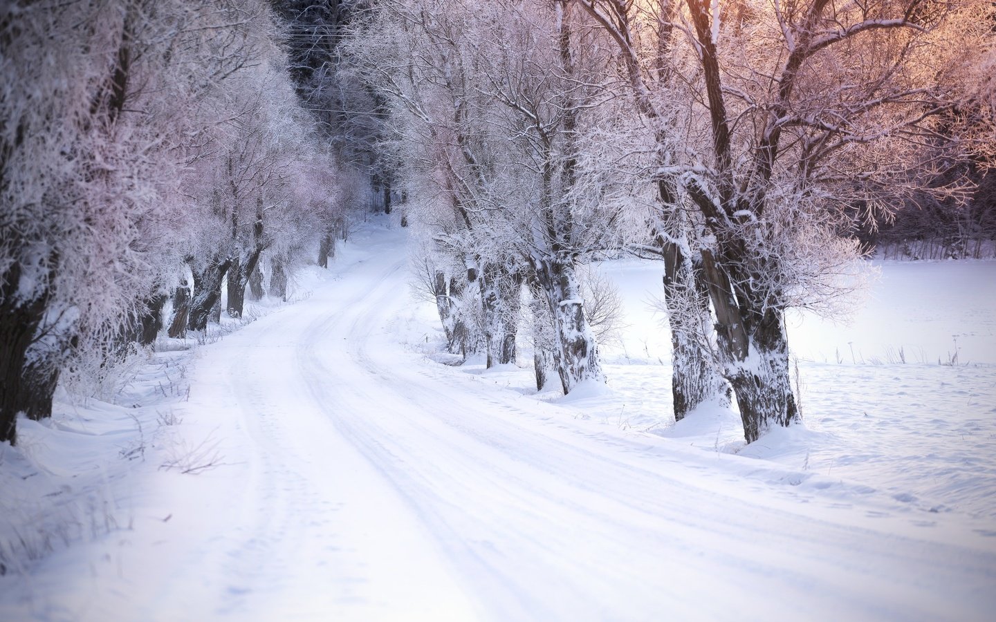 Обои дорога, деревья, снег, зима, road, trees, snow, winter разрешение 2048x1365 Загрузить