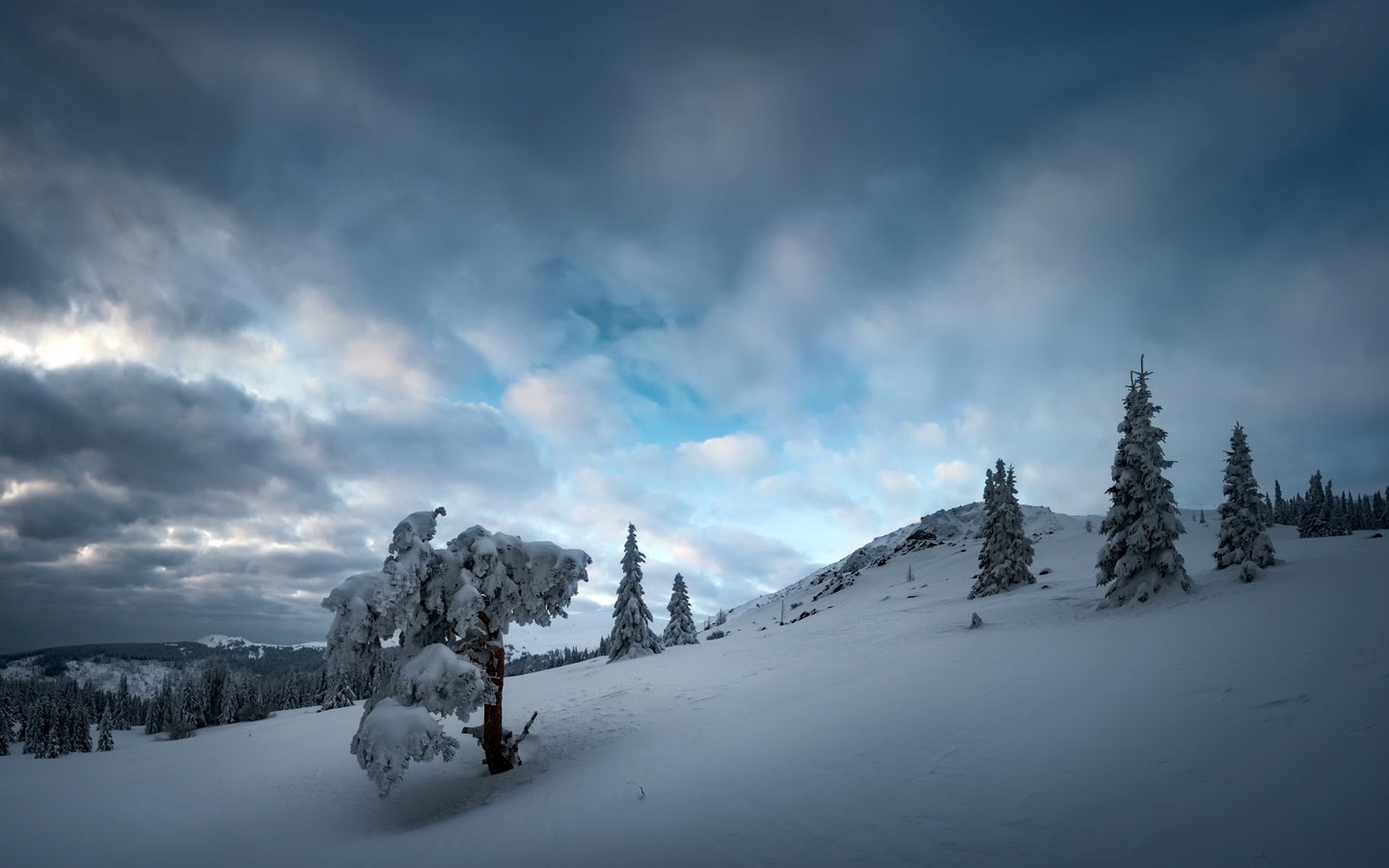 Обои небо, облака, деревья, вечер, снег, зима, the sky, clouds, trees, the evening, snow, winter разрешение 2048x1220 Загрузить