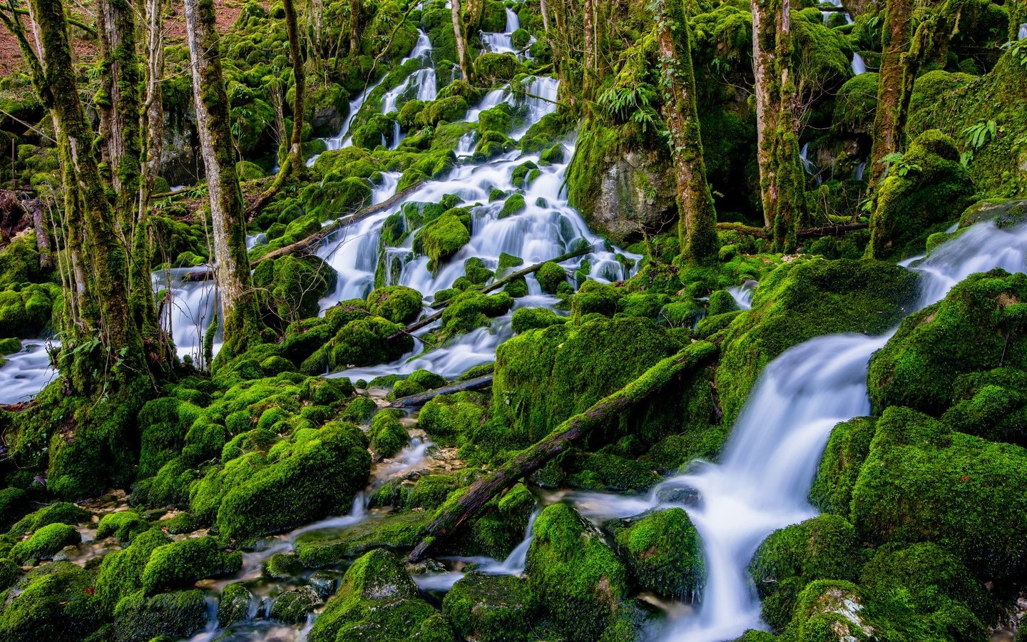 Обои деревья, вода, камни, лес, водопад, поток, мох, trees, water, stones, forest, waterfall, stream, moss разрешение 2048x1291 Загрузить