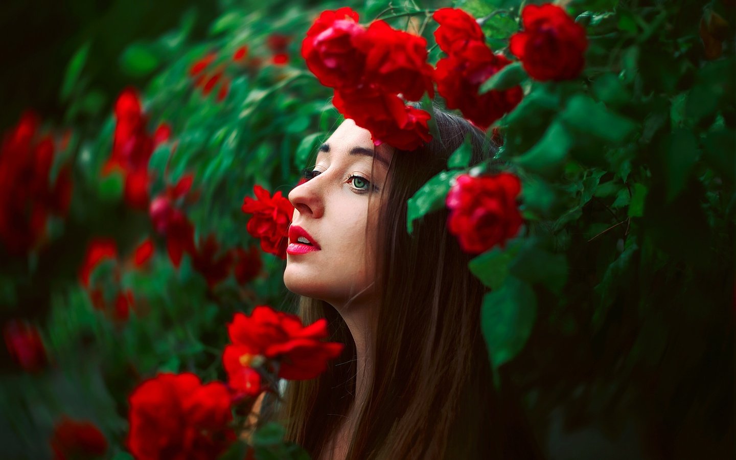 Обои цветы, лицо, природа, девушка, розы, модель, профиль, волосы, губы, flowers, face, nature, girl, roses, model, profile, hair, lips разрешение 2048x1365 Загрузить