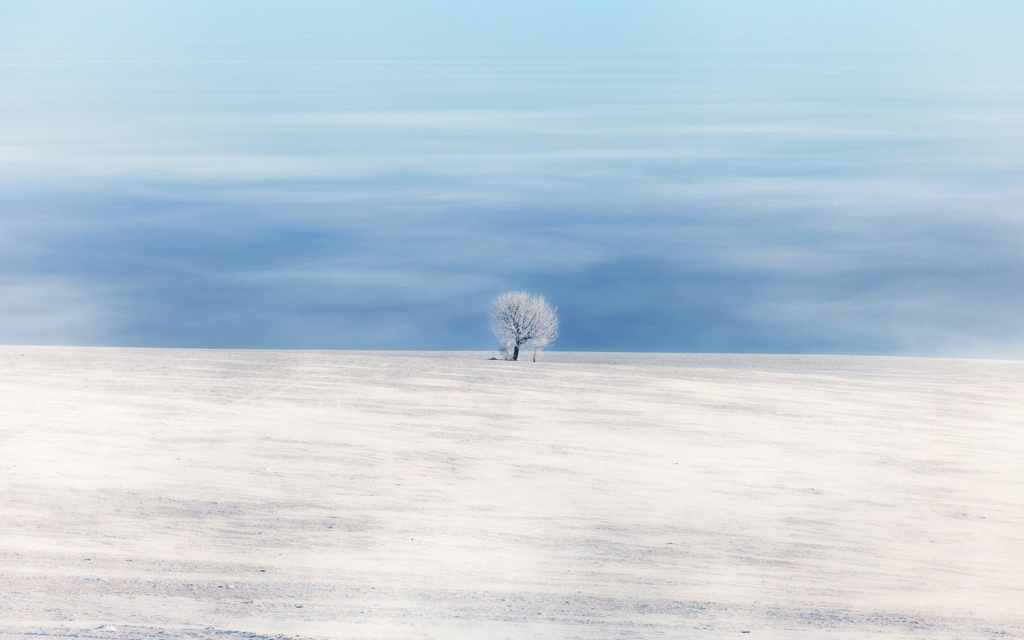 Обои небо, снег, дерево, зима, поле, the sky, snow, tree, winter, field разрешение 2048x1152 Загрузить