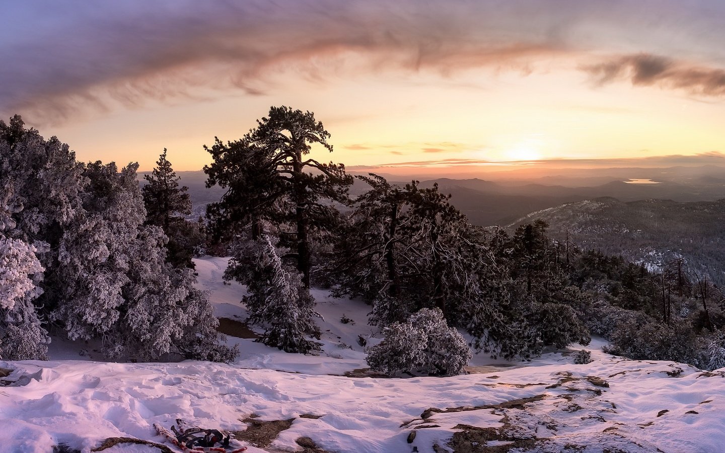 Обои деревья, горы, снег, лес, закат, зима, trees, mountains, snow, forest, sunset, winter разрешение 1920x1100 Загрузить