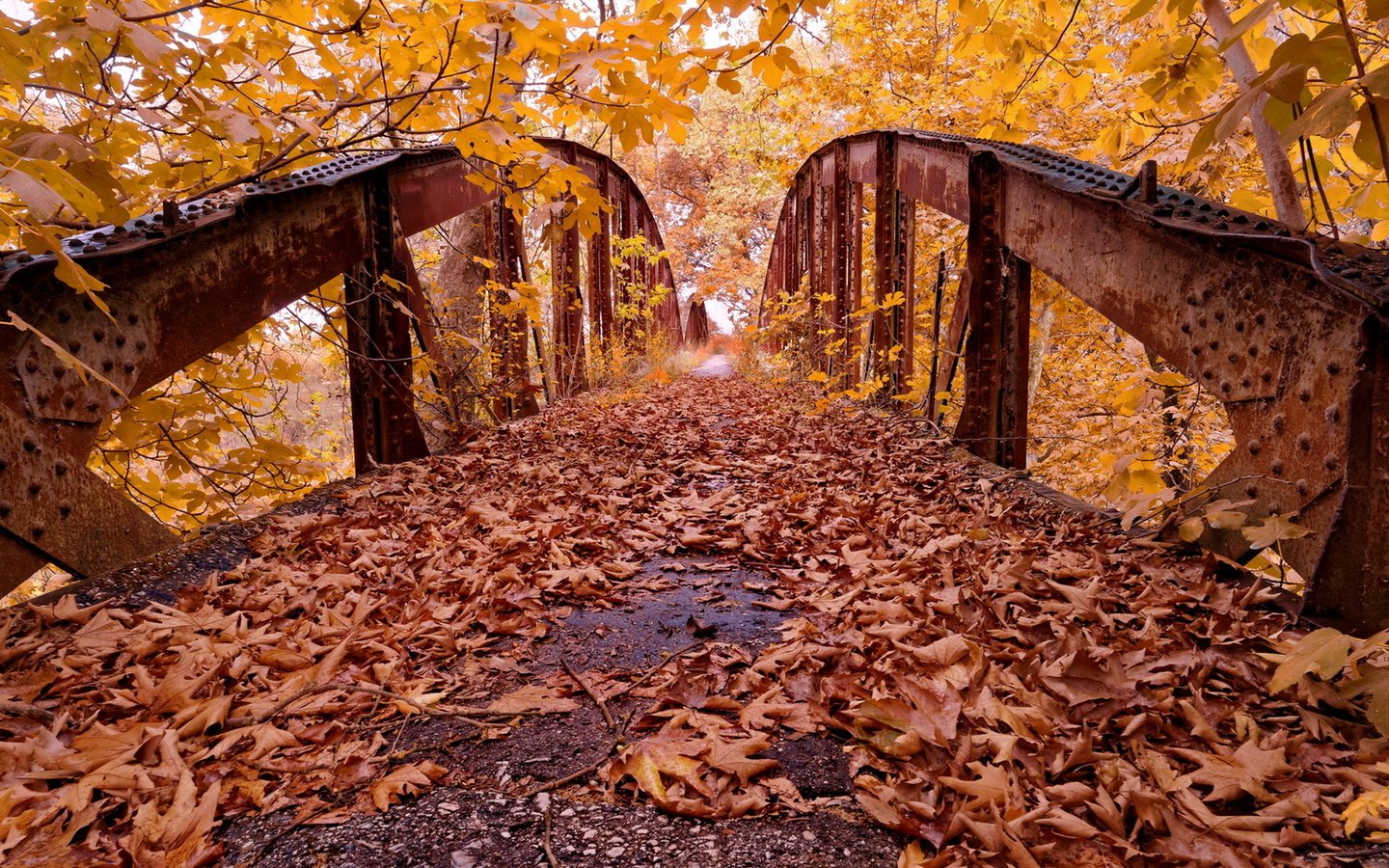 Обои деревья, листья, парк, мост, осень, trees, leaves, park, bridge, autumn разрешение 1920x1246 Загрузить