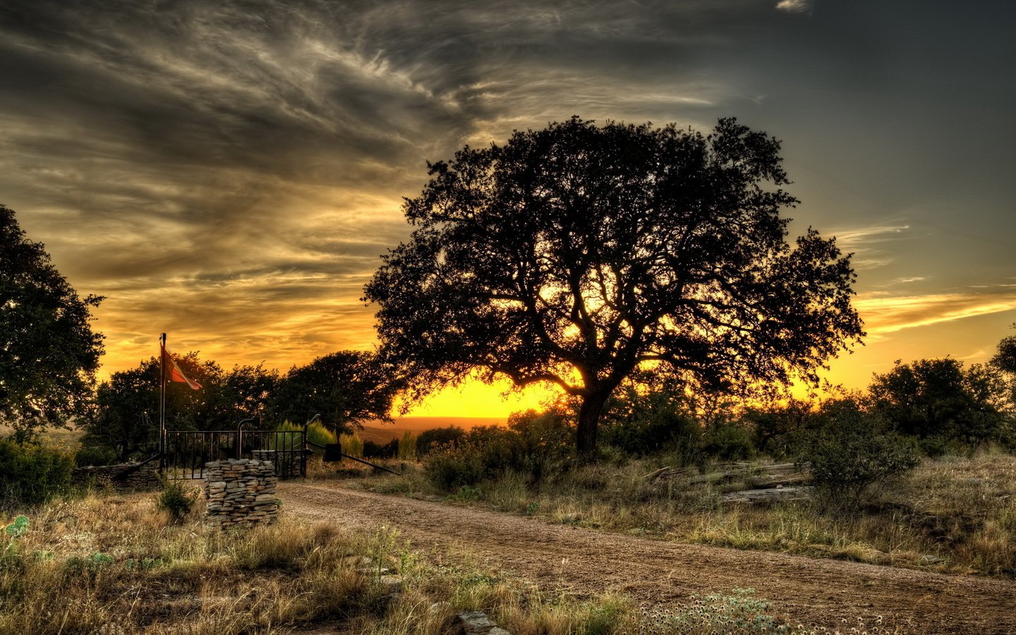 Обои небо, дорога, трава, деревья, вечер, закат, пейзажи, the sky, road, grass, trees, the evening, sunset, landscapes разрешение 1920x1080 Загрузить