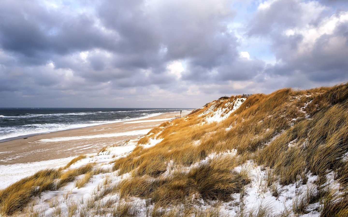 Обои небо, трава, зима, море, пляж, дюны, the sky, grass, winter, sea, beach, dunes разрешение 2048x1365 Загрузить