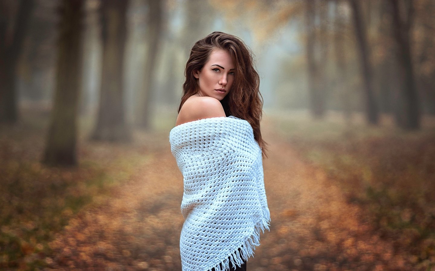 Обои природа, девушка, взгляд, осень, волосы, платок, nature, girl, look, autumn, hair, shawl разрешение 2048x1253 Загрузить