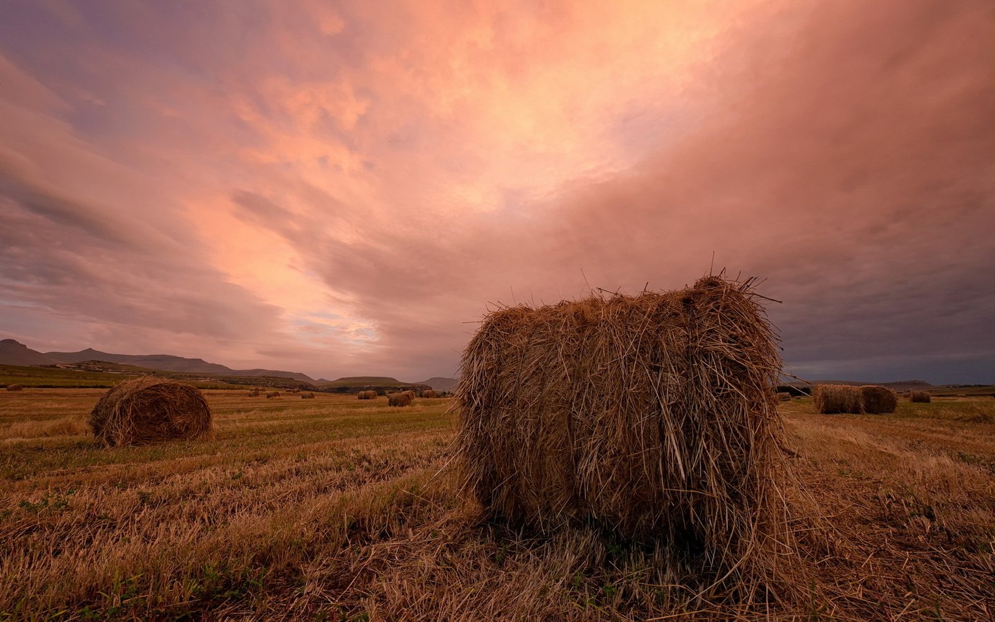 Обои закат, пейзаж, поле, сено, тюки, рулоны, sunset, landscape, field, hay, bales, rolls разрешение 1920x1200 Загрузить