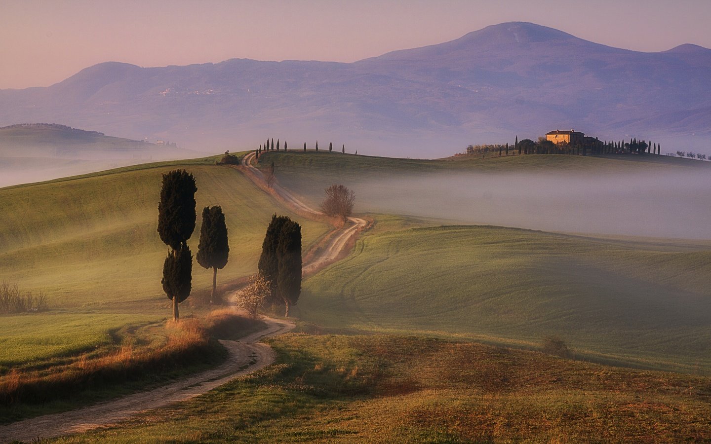 Обои дорога, тоскана, деревья, горы, туман, поле, дома, италия, долина, road, tuscany, trees, mountains, fog, field, home, italy, valley разрешение 3886x2392 Загрузить