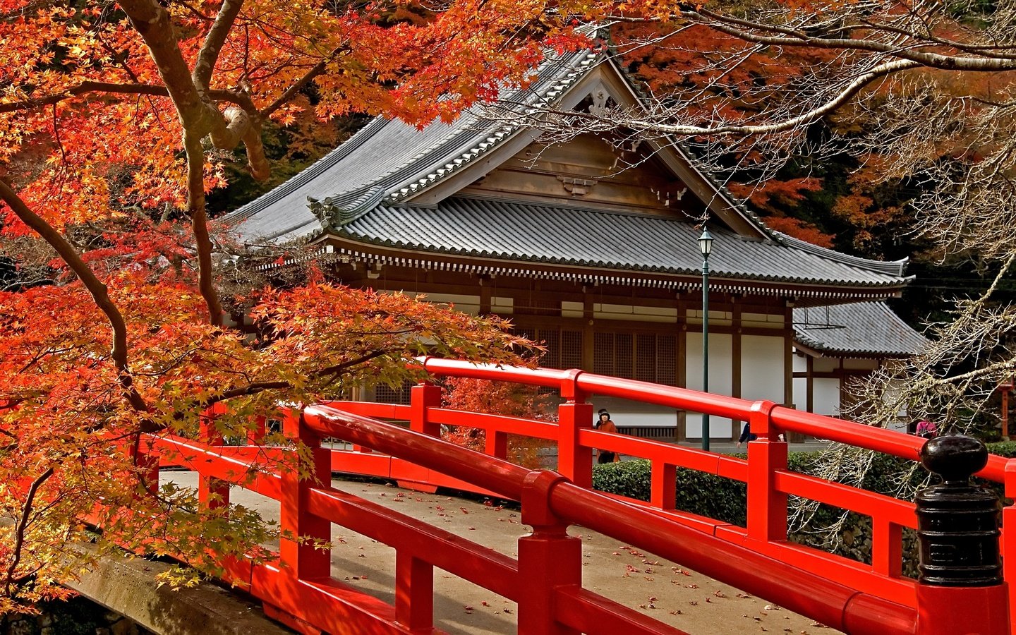 Обои дорога, деревья, листья, храм, мост, япония, клен, road, trees, leaves, temple, bridge, japan, maple разрешение 3872x2592 Загрузить