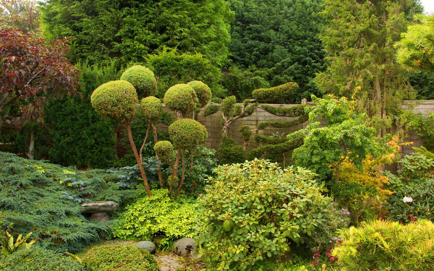 Обои деревья, зелень, парк, кусты, забор, сад, англия, bewdley, west midland safari park, trees, greens, park, the bushes, the fence, garden, england разрешение 3500x2075 Загрузить