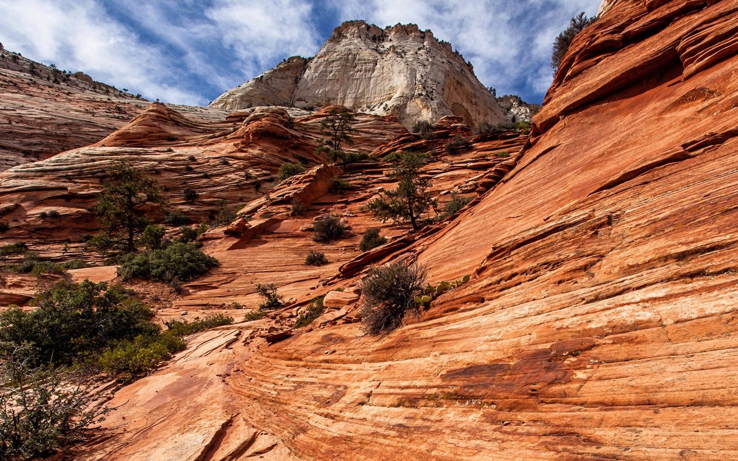 Обои облака, горы, скалы, природа, сша, юта, zion national park, национальный парк, зайон, zion, clouds, mountains, rocks, nature, usa, utah, national park разрешение 2880x1593 Загрузить