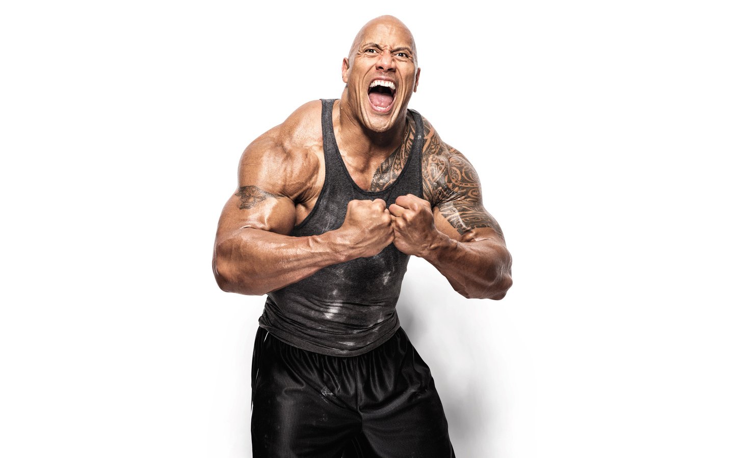 Обои взгляд, актёр, тату, лицо, мужчина, дуейн джонсон, look, actor, tattoo, face, male, dwayne johnson разрешение 2880x1800 Загрузить