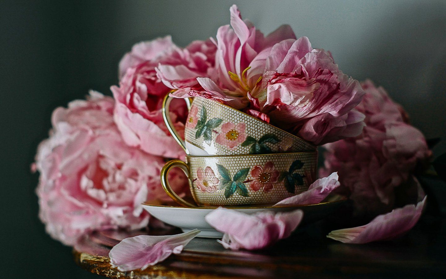 Обои цветы, лепестки, чашки, столик, натюрморт, пионы, flowers, petals, cup, table, still life, peonies разрешение 2048x1305 Загрузить