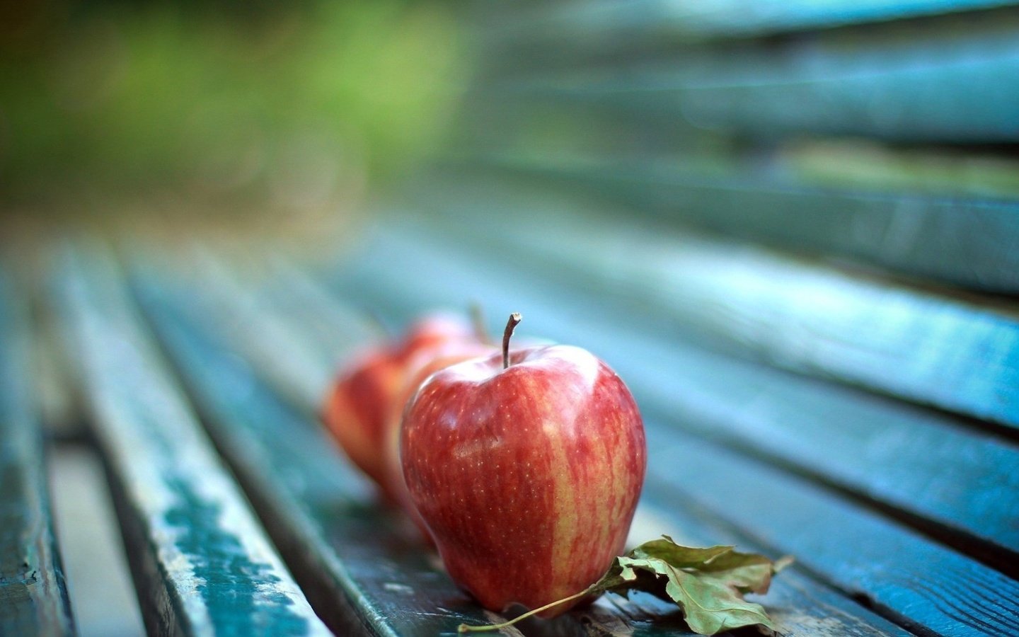 Обои макро, фрукты, яблоки, осень, лист, скамейка, яблоко, macro, fruit, apples, autumn, sheet, bench, apple разрешение 1920x1080 Загрузить