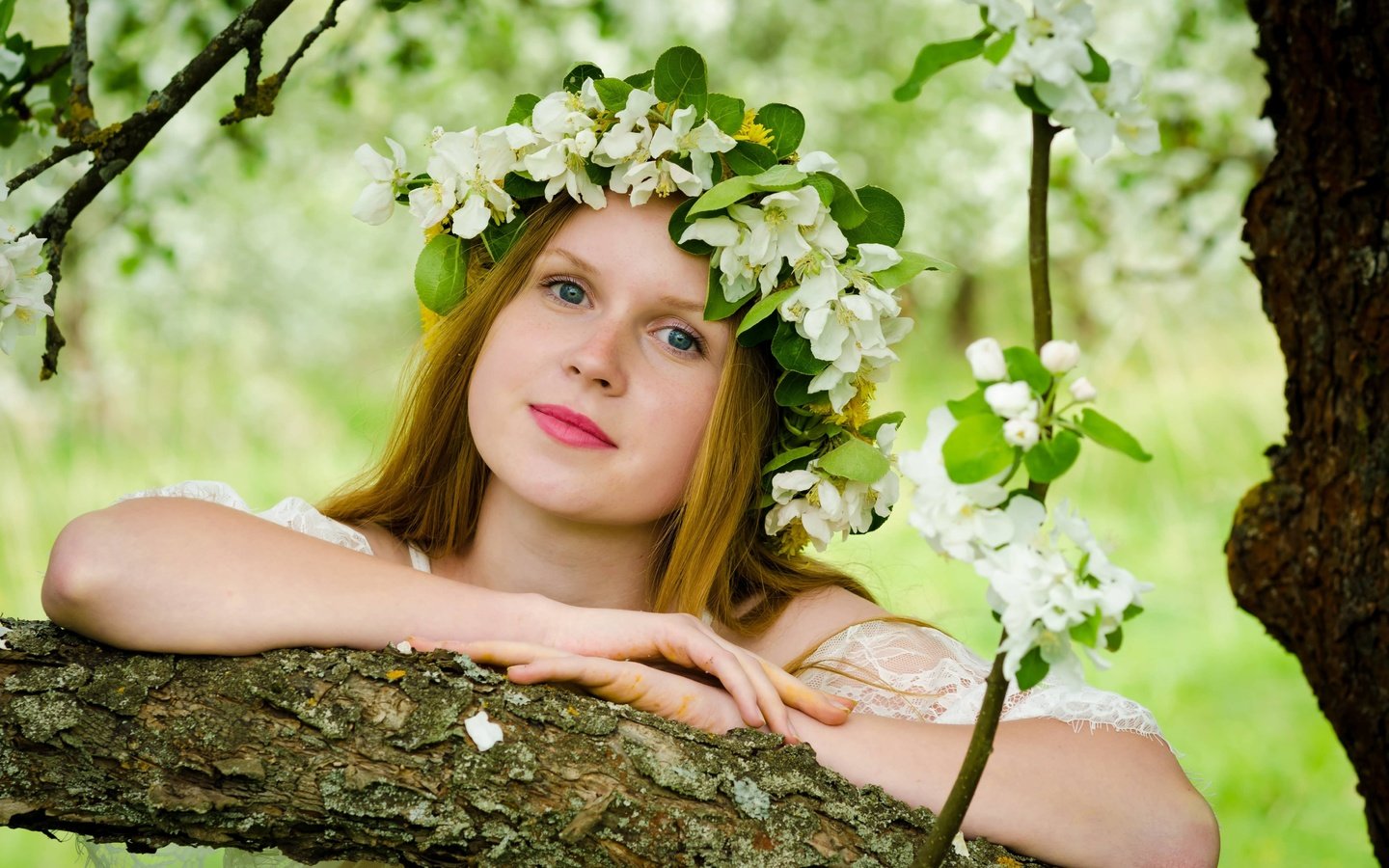 Обои девушка, взгляд, весна, волосы, венок, цветки, girl, look, spring, hair, wreath, flowers разрешение 4928x3264 Загрузить