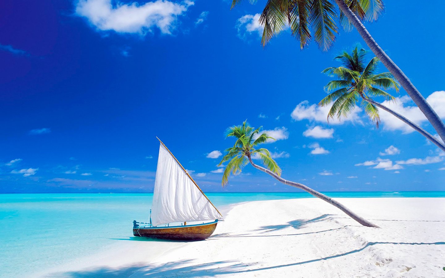 Обои море, песок, пляж, лодка, пальмы, остров, тропики, мальдивы, sea, sand, beach, boat, palm trees, island, tropics, the maldives разрешение 1920x1456 Загрузить