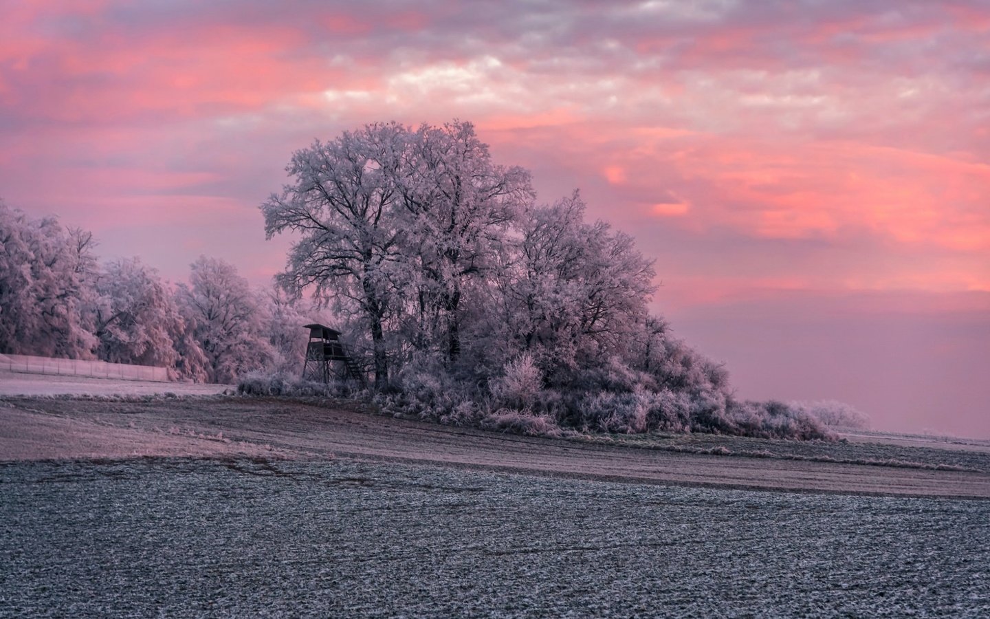 Обои деревья, природа, закат, зима, поле, иней, trees, nature, sunset, winter, field, frost разрешение 1920x1200 Загрузить